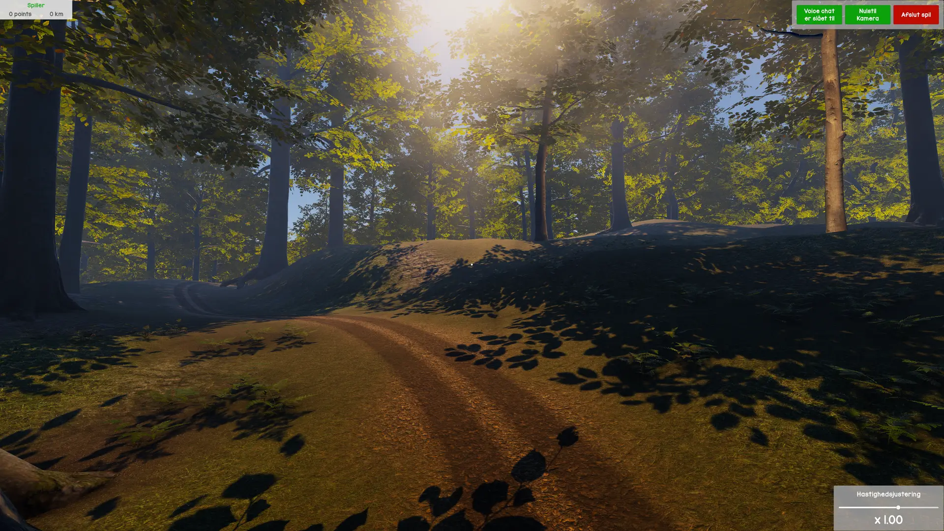 A serene VR forest trail environment in VR Multiplayer Wildlife Biking, illuminated by dynamic sunlight.