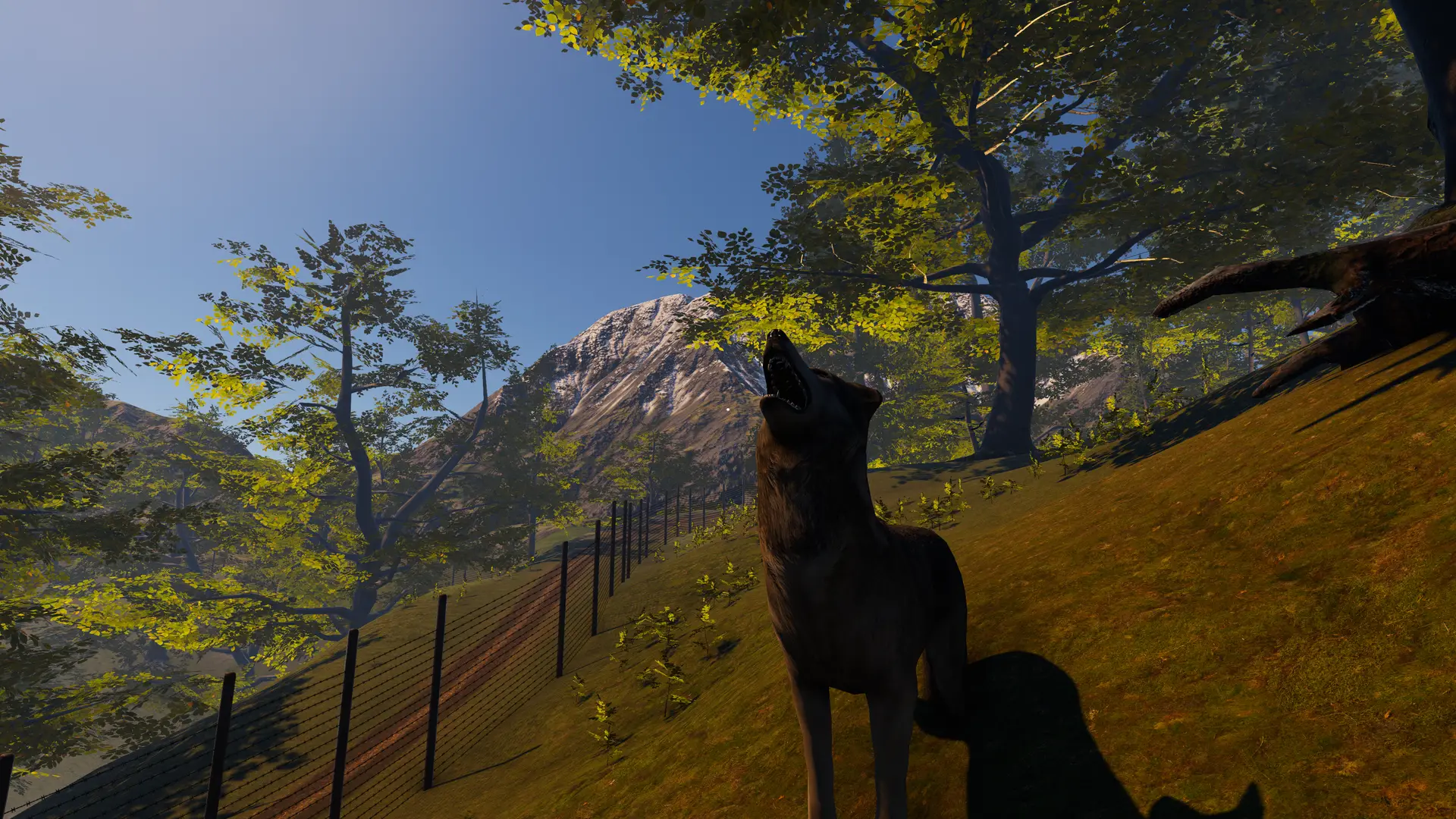 VR scene featuring a wolf howling on a hill in a lush nature environment, showcasing the immersive wildlife interactions in VR Multiplayer Wildlife Biking.