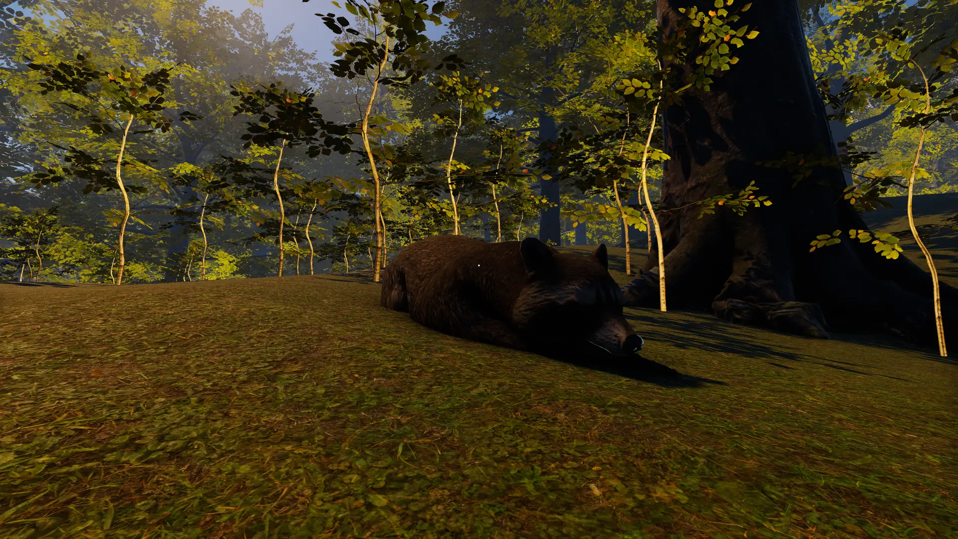 A raccoon sleeping on the grass in a tranquil nature setting, showcasing wildlife AI in VR Multiplayer Wildlife Biking.