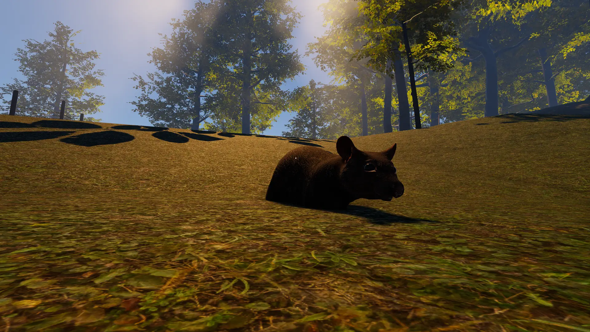 Close-up of a rat lying on the grass in a natural environment, with volumetric lighting coming from above, showcasing animal AI in VR Multiplayer Wildlife Biking.