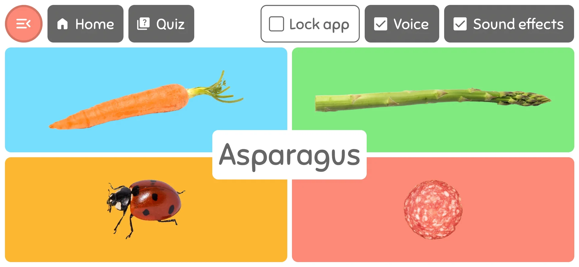 WordBaby quiz mode with four answer options: carrot, asparagus, ladybug, and salami, featuring the top menu with Home, Quiz, Lock App, Voice, and Sound Effects controls.